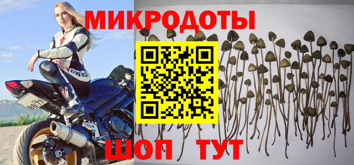 Псилоцибиновые грибы Psilocybe  Вход с VPN  Галлюциногенные грибы Magic Shrooms  как найти   Сатка 